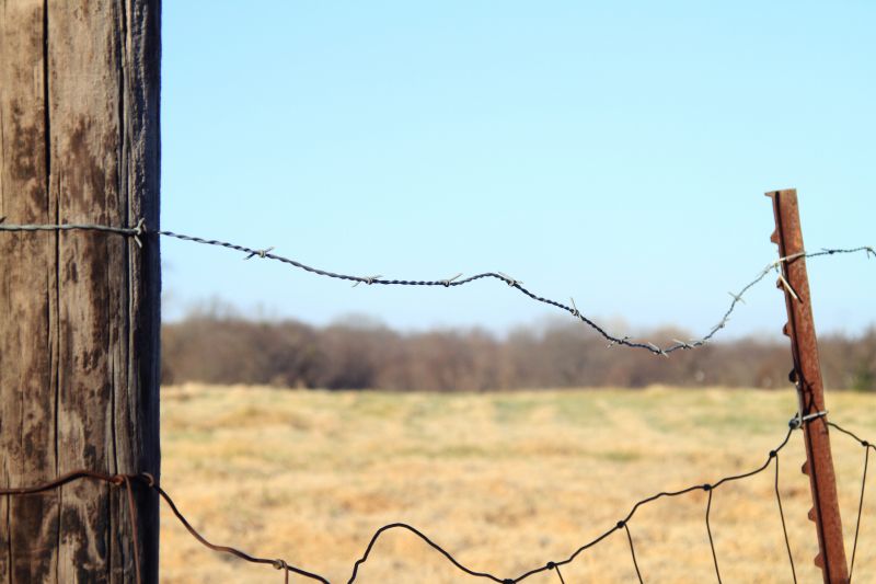 Barbed Wire Fence Replacement