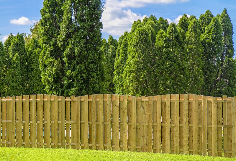 Privacy Fence Setup